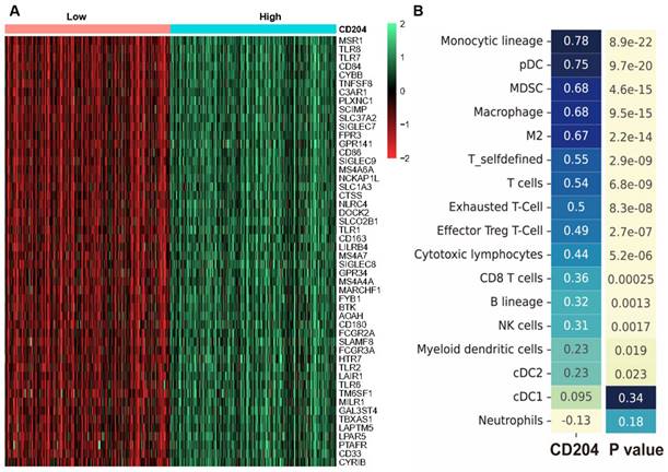 J Cancer Image