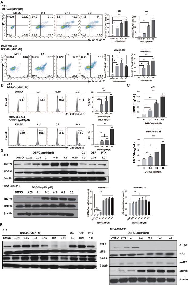 J Cancer Image