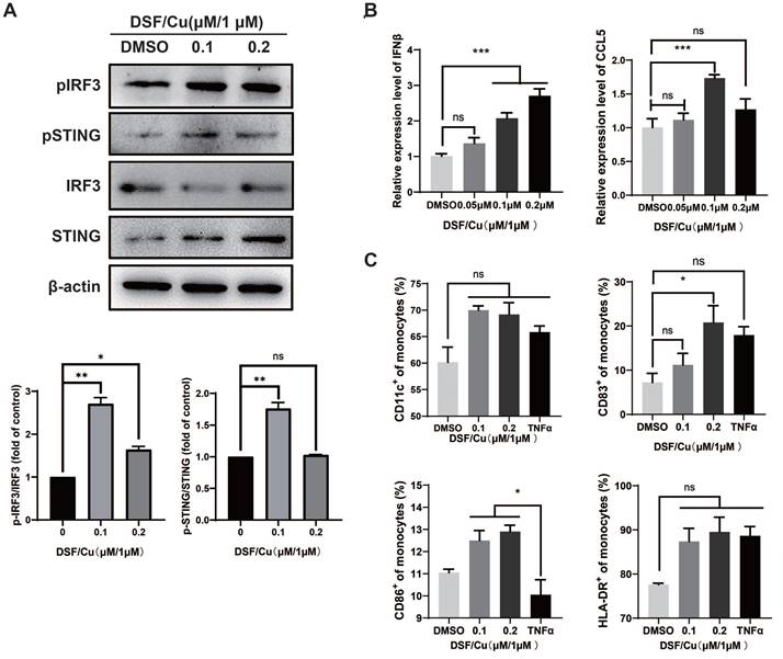 J Cancer Image