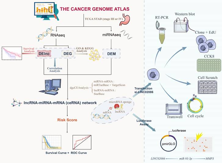 J Cancer Image