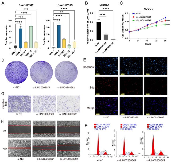 J Cancer Image