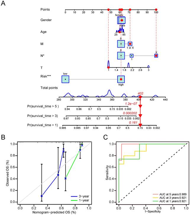 J Cancer Image