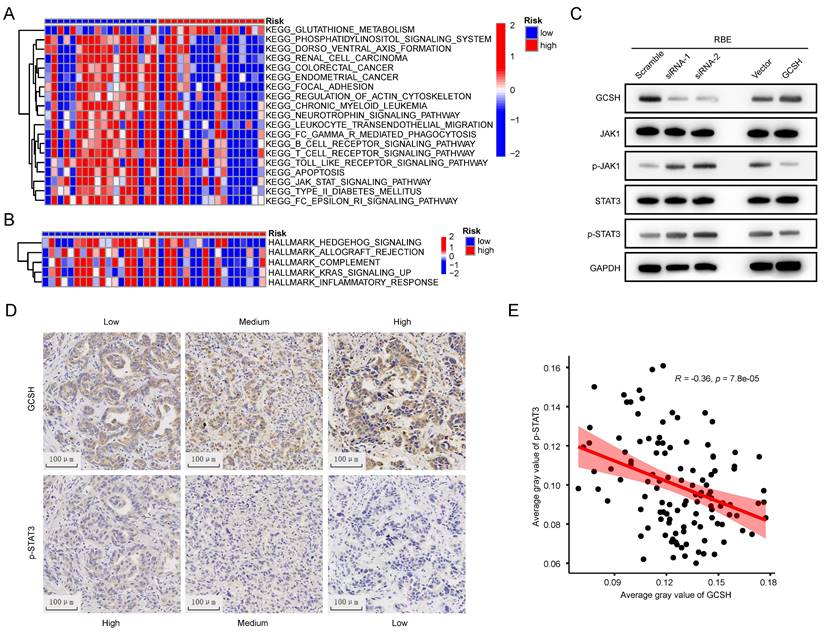 J Cancer Image