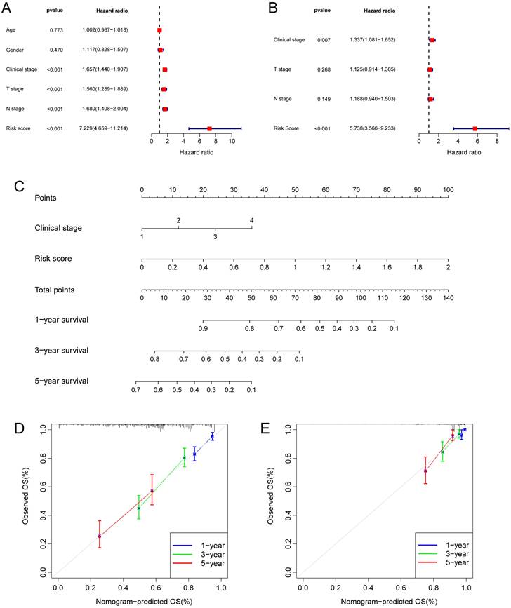 J Cancer Image