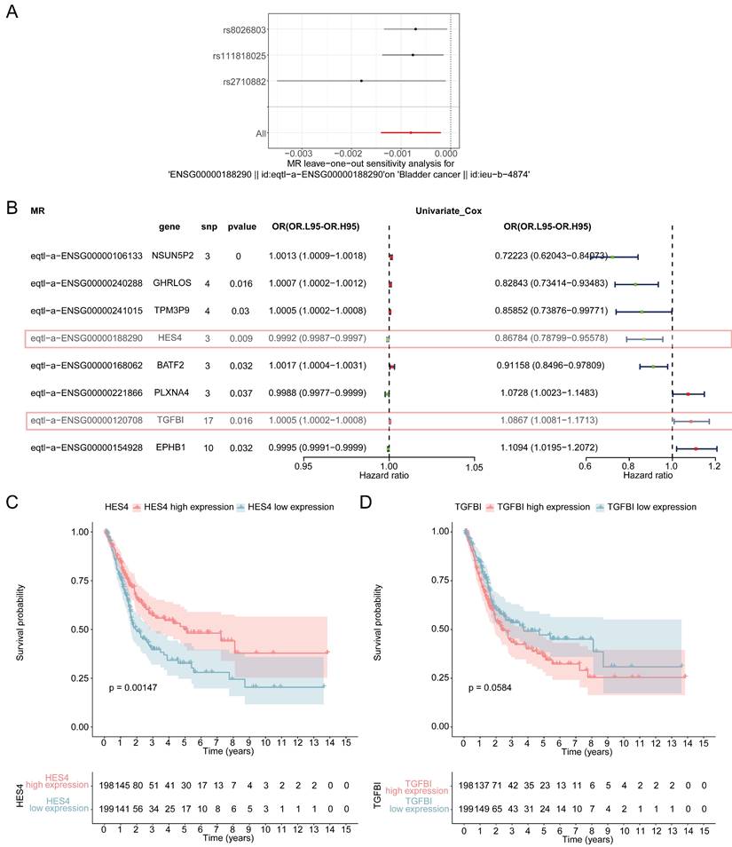 J Cancer Image