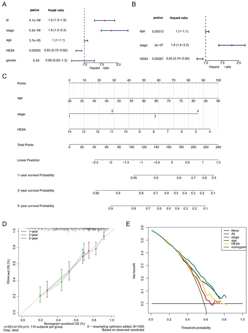 J Cancer Image