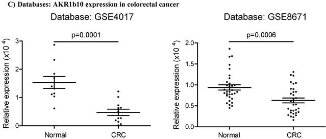 J Cancer Image