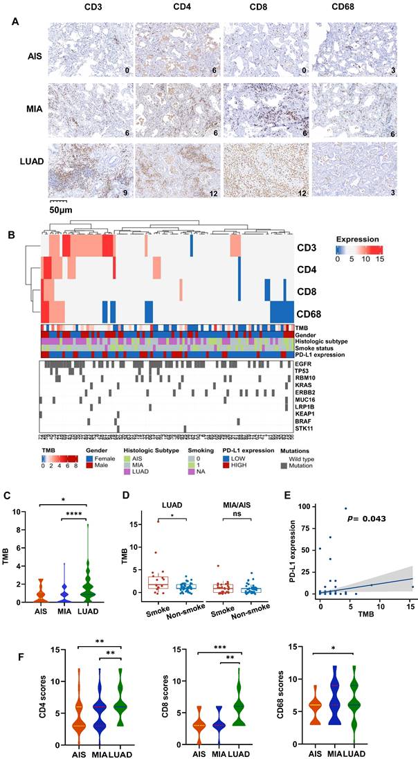 J Cancer Image