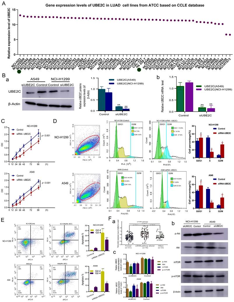 J Cancer Image