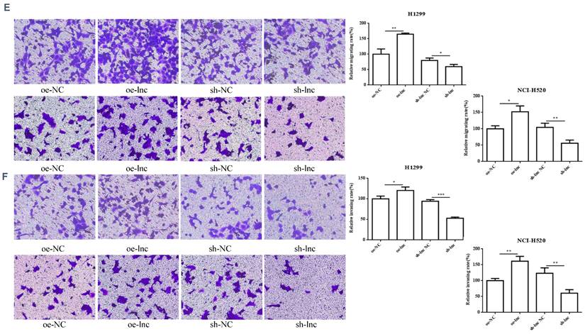 J Cancer Image