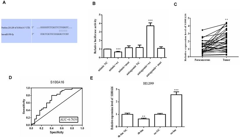 J Cancer Image