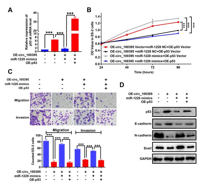 J Cancer Image