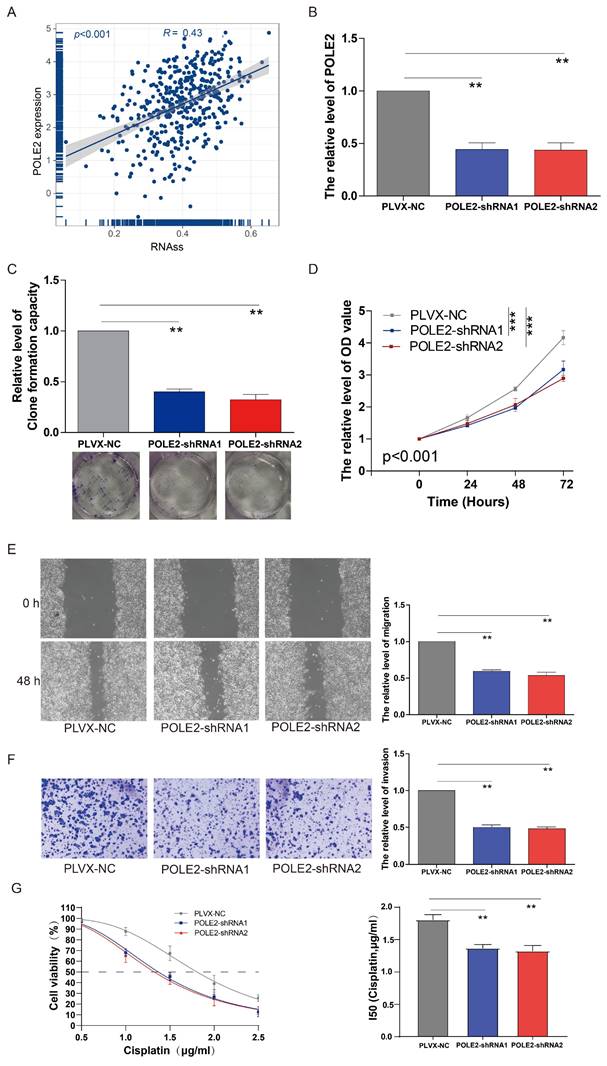 J Cancer Image