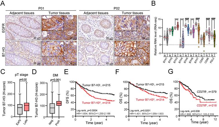 J Cancer Image