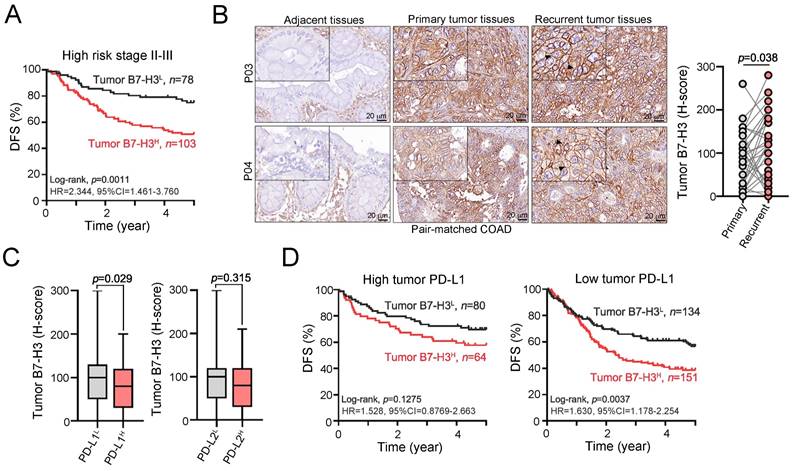 J Cancer Image