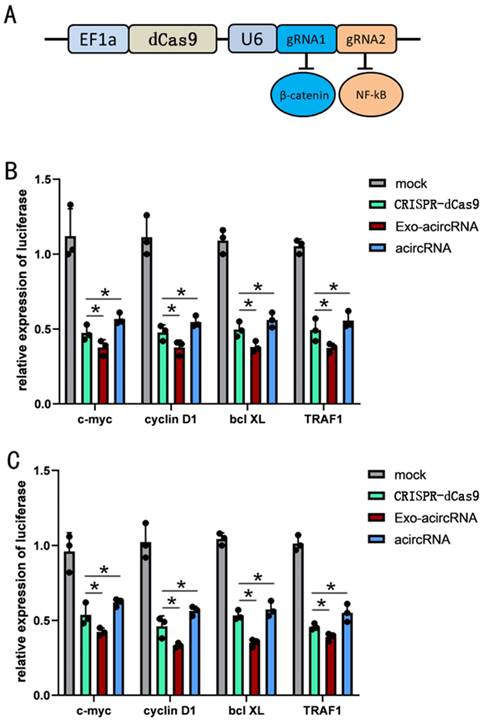 J Cancer Image