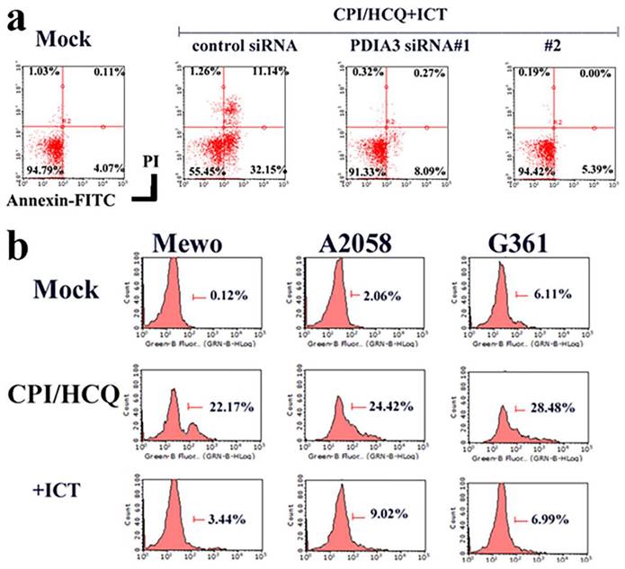 J Cancer Image