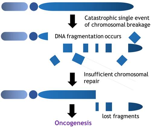 J Cancer Image