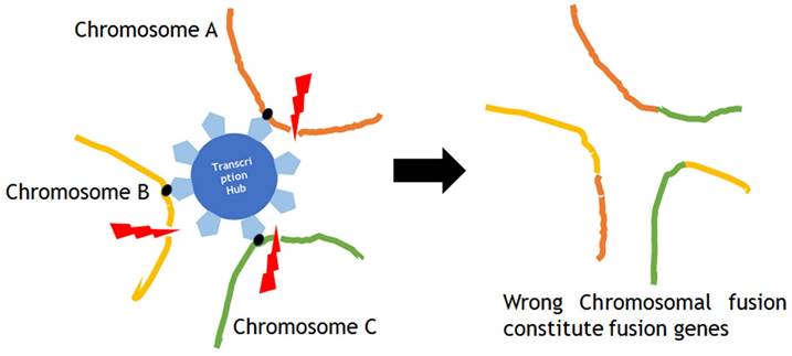 J Cancer Image