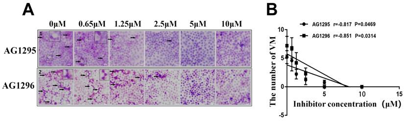 J Cancer Image