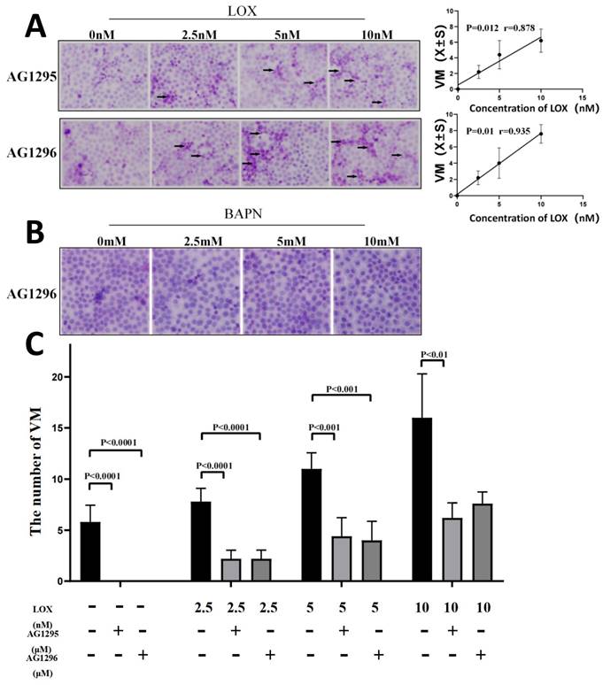 J Cancer Image