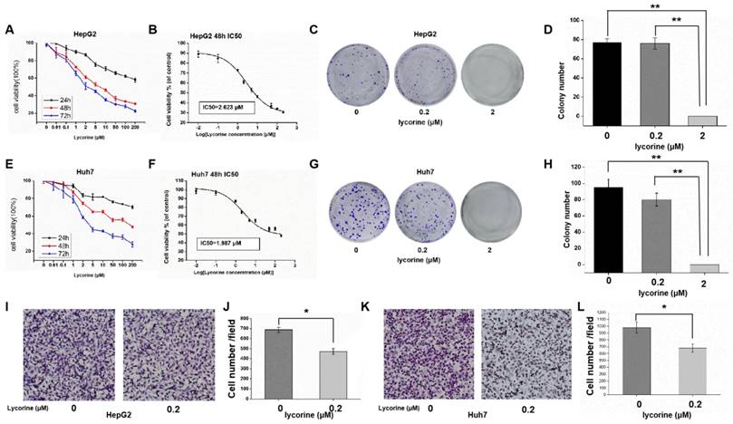 J Cancer Image