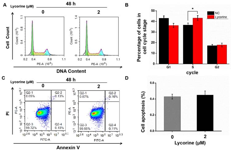 J Cancer Image