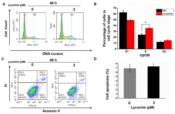 J Cancer Image