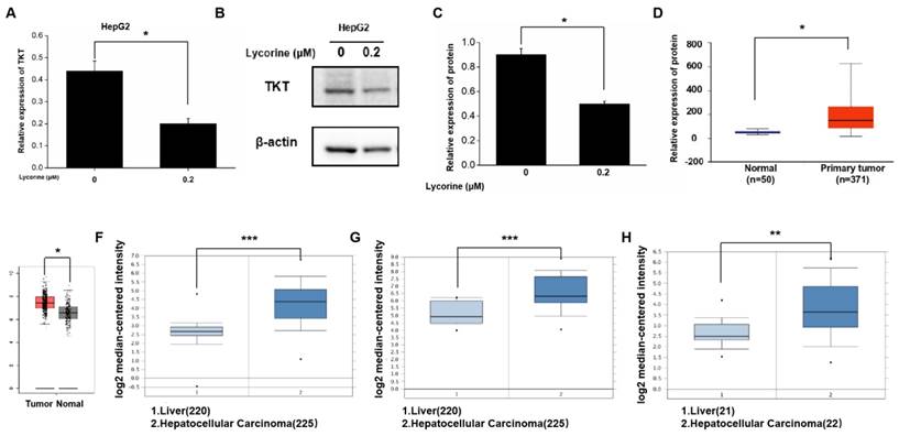 J Cancer Image