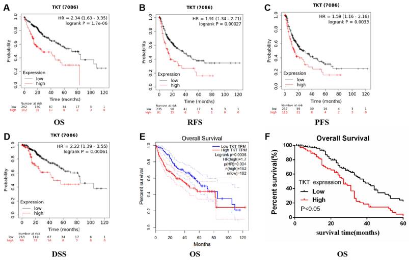 J Cancer Image