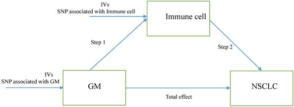 J Cancer Image