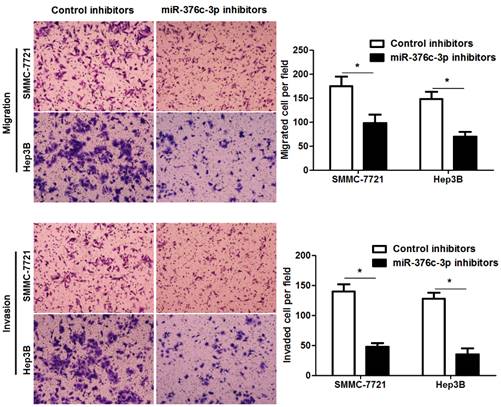 J Cancer Image