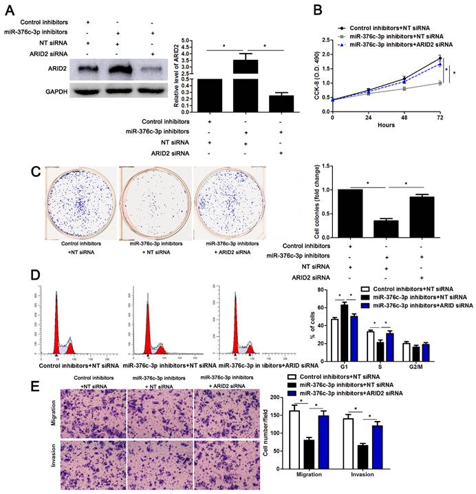 J Cancer Image