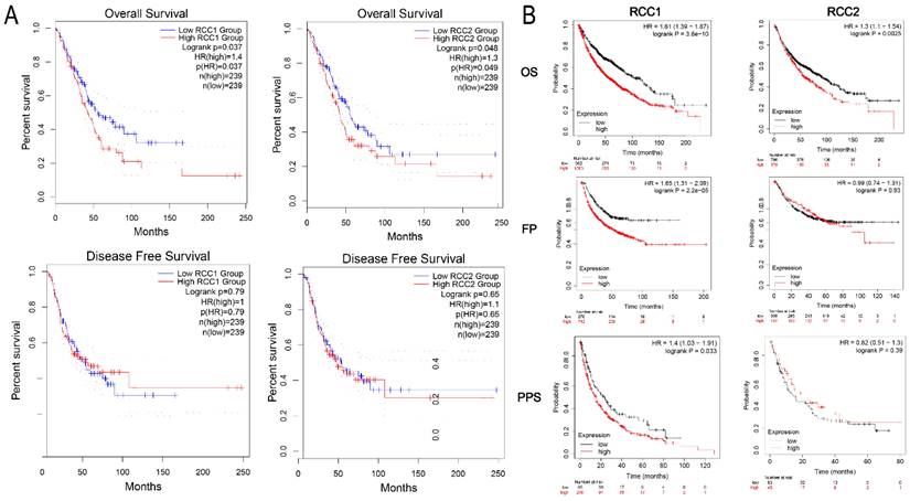 J Cancer Image