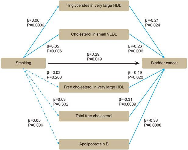 J Cancer Image