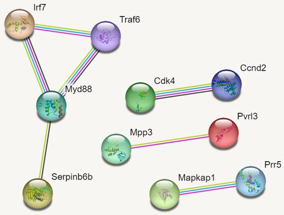 J Cancer Image