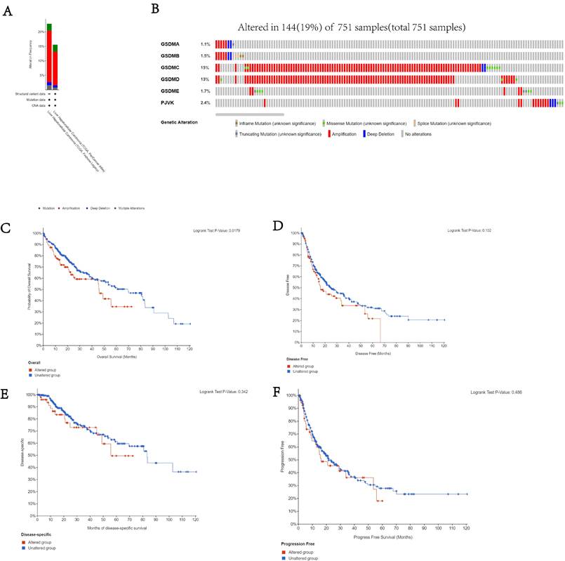 J Cancer Image