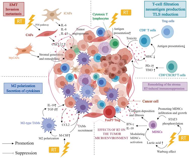 J Cancer Image