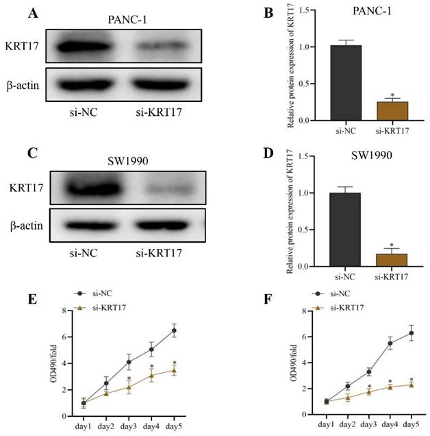 J Cancer Image