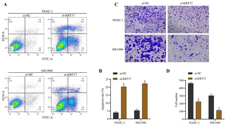 J Cancer Image