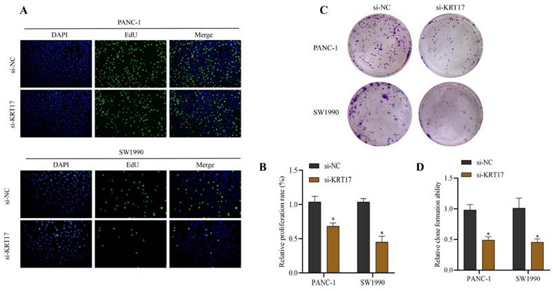 J Cancer Image