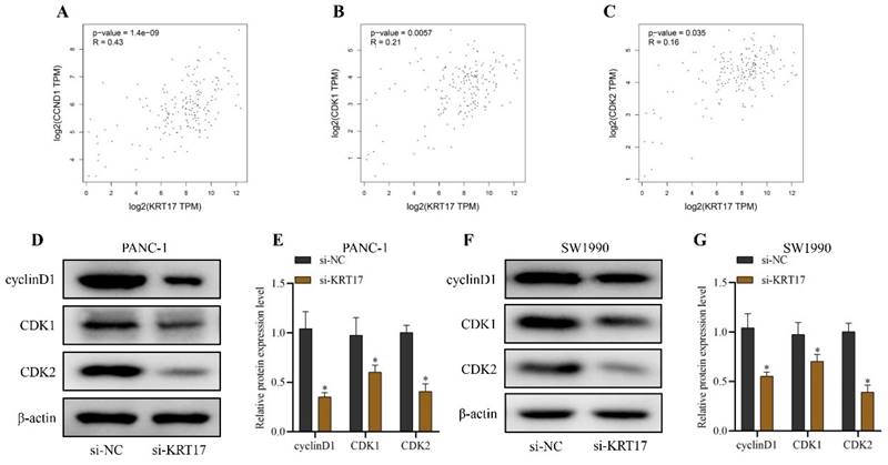 J Cancer Image