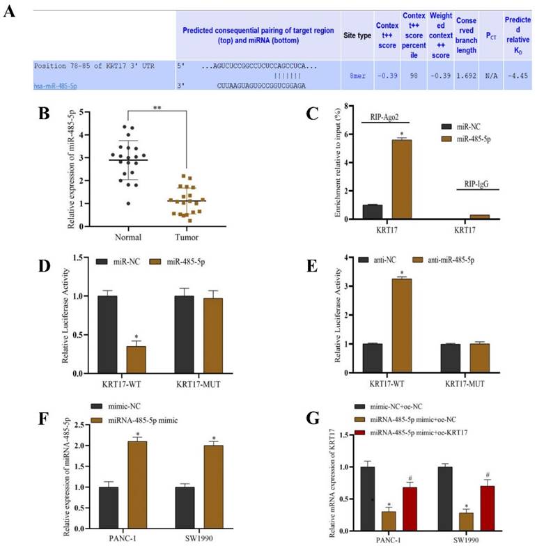 J Cancer Image