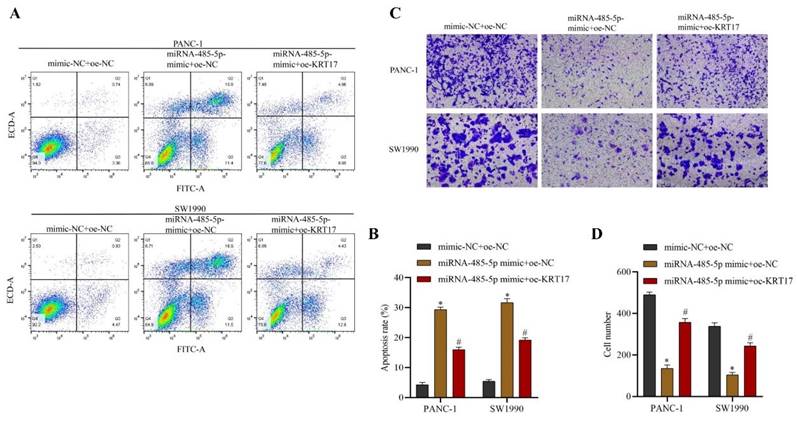 J Cancer Image