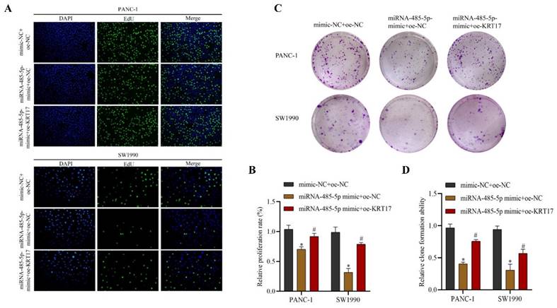 J Cancer Image