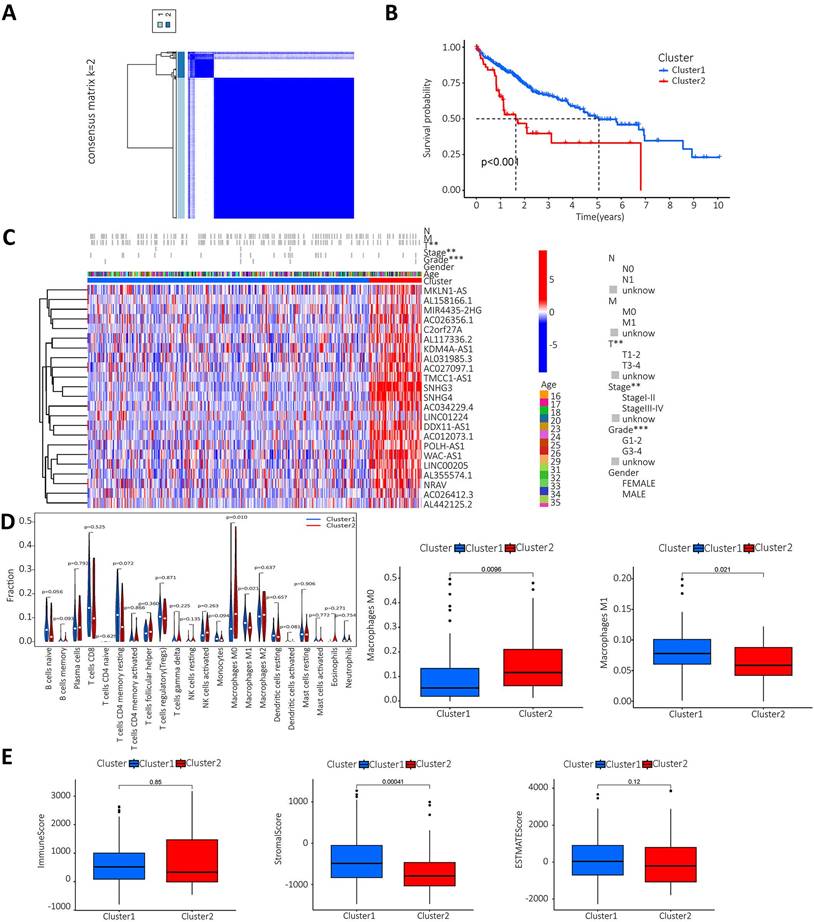 J Cancer Image