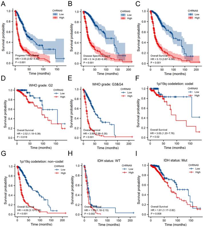 J Cancer Image