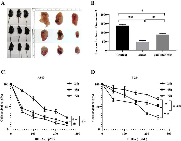 J Cancer Image