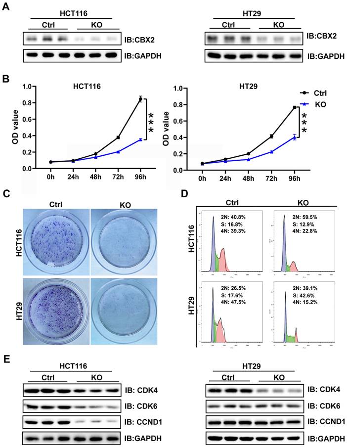 J Cancer Image