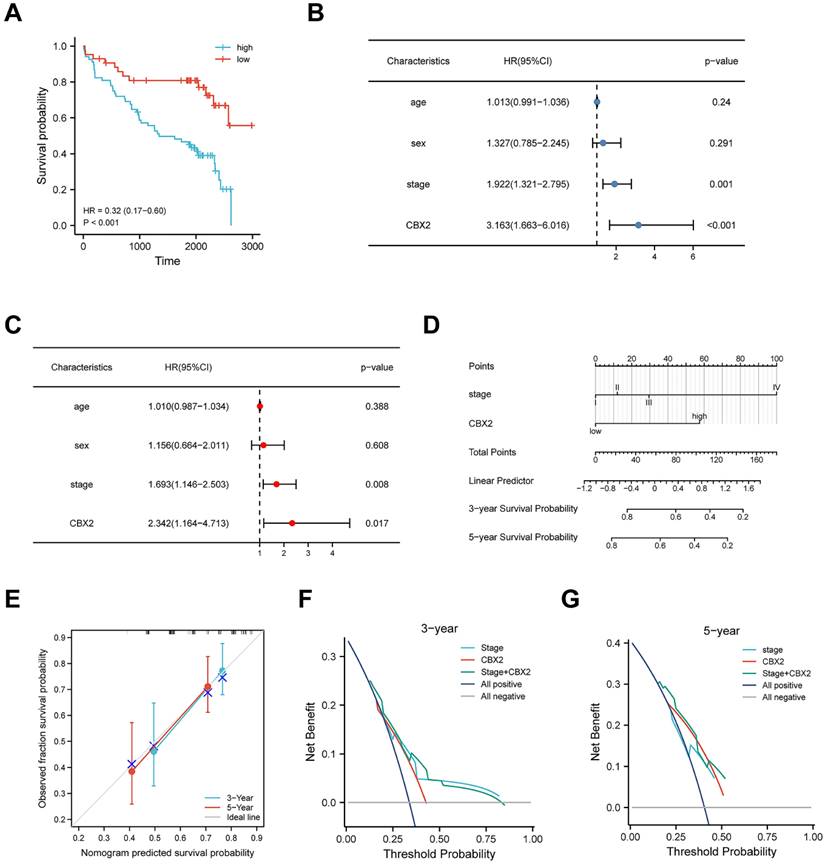 J Cancer Image